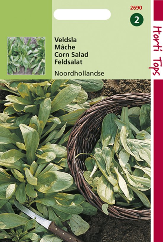 Feldsalat Hollandischer (Valerianella) 2000 Samen HT